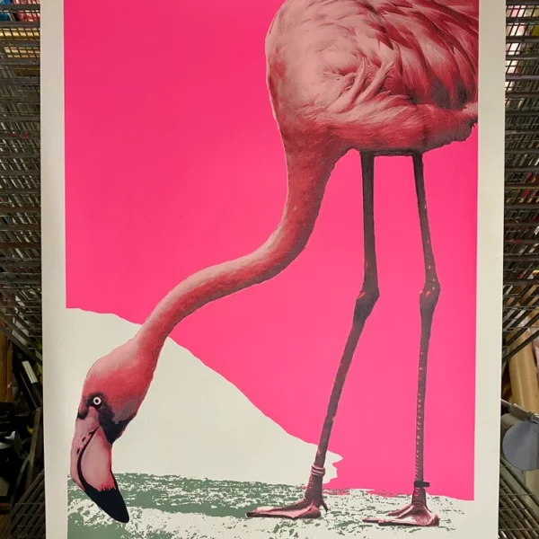 FlamingoRama {2012 Archives/Rare}