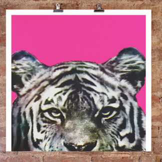 Into the Lion’s Den